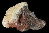 Natural, Red Quartz Crystal Cluster - Morocco #135696-1